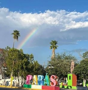 Meet your Posher, Dinora